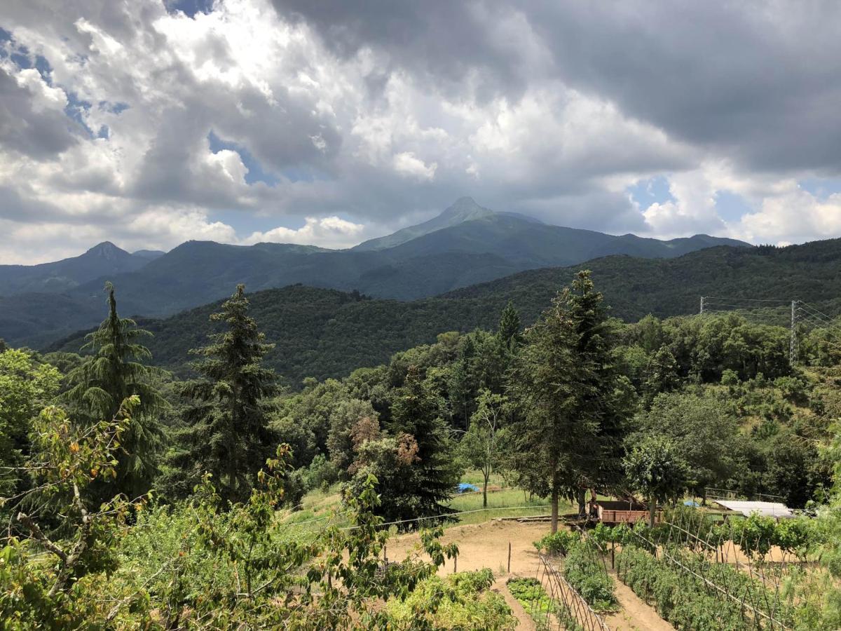 Apartamento En Pleno Montseny Mas Romeu Turisme Rural Arbúcies Exterior foto